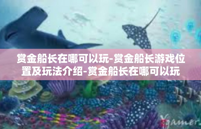 赏金船长在哪可以玩-赏金船长游戏位置及玩法介绍-赏金船长在哪可以玩