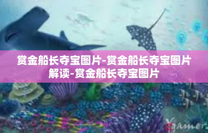 赏金船长夺宝图片-赏金船长夺宝图片解读-赏金船长夺宝图片