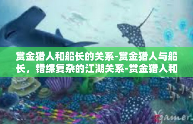 赏金猎人和船长的关系-赏金猎人与船长，错综复杂的江湖关系-赏金猎人和船长的关系