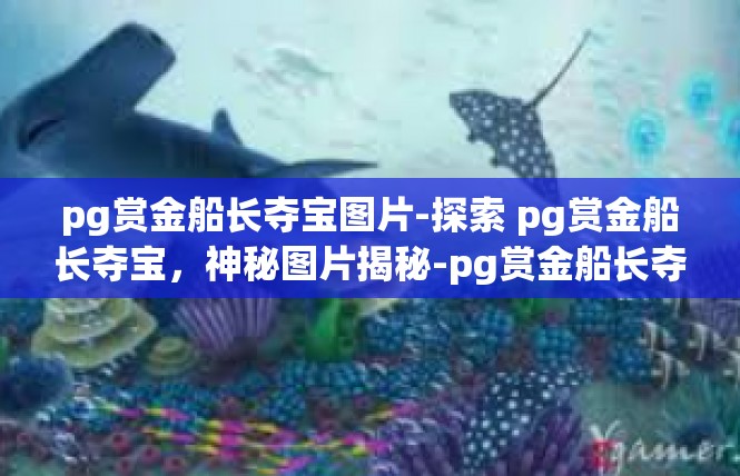 pg赏金船长夺宝图片-探索 pg赏金船长夺宝，神秘图片揭秘-pg赏金船长夺宝图片