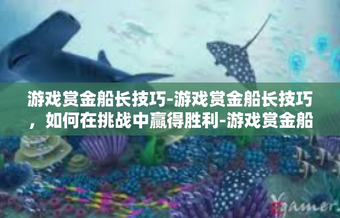 游戏赏金船长技巧-游戏赏金船长技巧，如何在挑战中赢得胜利-游戏赏金船长技巧