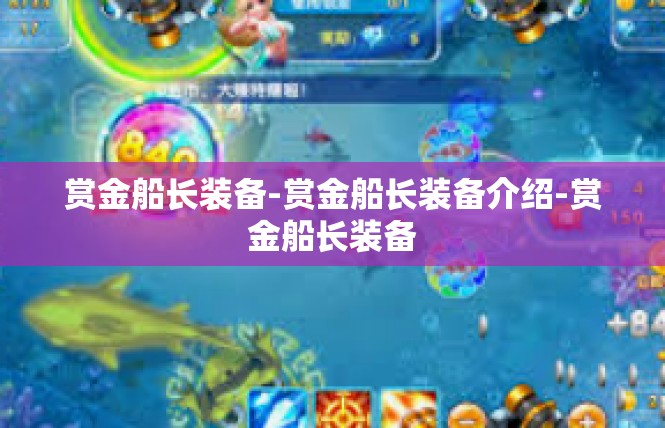 赏金船长装备-赏金船长装备介绍-赏金船长装备