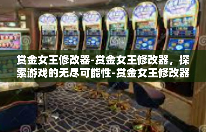赏金女王修改器-赏金女王修改器，探索游戏的无尽可能性-赏金女王修改器