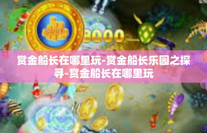 赏金船长在哪里玩-赏金船长乐园之探寻-赏金船长在哪里玩
