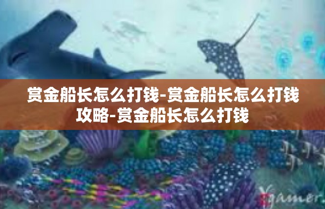 赏金船长怎么打钱-赏金船长怎么打钱攻略-赏金船长怎么打钱