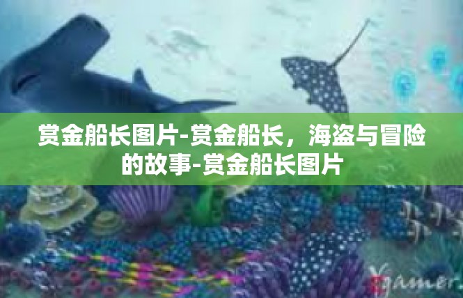 赏金船长图片-赏金船长，海盗与冒险的故事-赏金船长图片