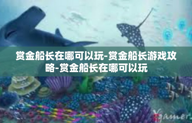 赏金船长在哪可以玩-赏金船长游戏攻略-赏金船长在哪可以玩