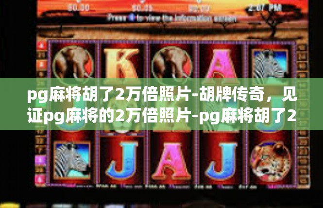 pg麻将胡了2万倍照片-胡牌传奇，见证pg麻将的2万倍照片-pg麻将胡了2万倍照片