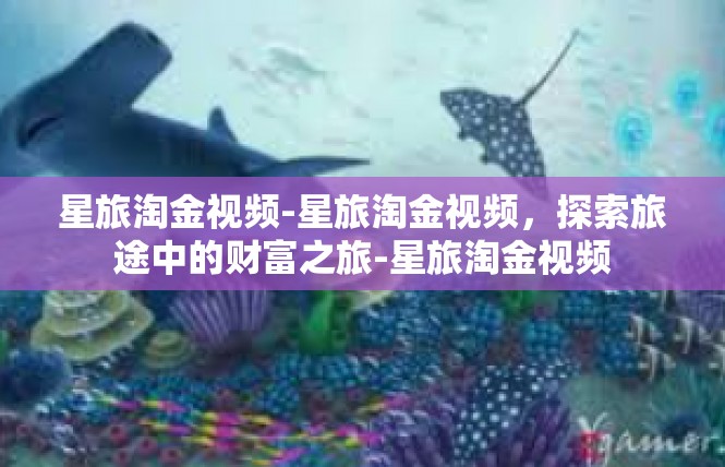 星旅淘金视频-星旅淘金视频，探索旅途中的财富之旅-星旅淘金视频
