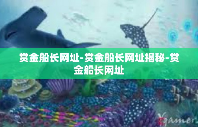 赏金船长网址-赏金船长网址揭秘-赏金船长网址