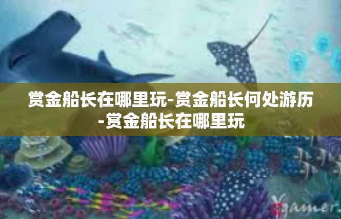 赏金船长在哪里玩-赏金船长何处游历-赏金船长在哪里玩