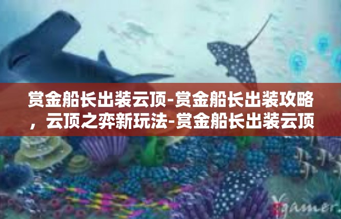 赏金船长出装云顶-赏金船长出装攻略，云顶之弈新玩法-赏金船长出装云顶
