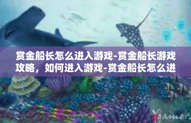 赏金船长怎么进入游戏-赏金船长游戏攻略，如何进入游戏-赏金船长怎么进入游戏