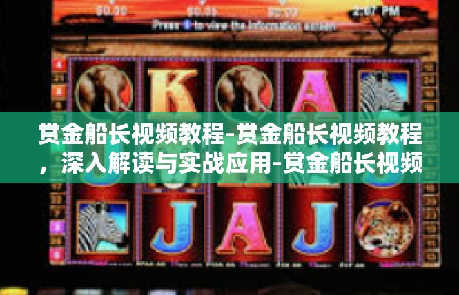 赏金船长视频教程-赏金船长视频教程，深入解读与实战应用-赏金船长视频教程