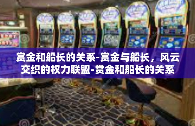 赏金和船长的关系-赏金与船长，风云交织的权力联盟-赏金和船长的关系