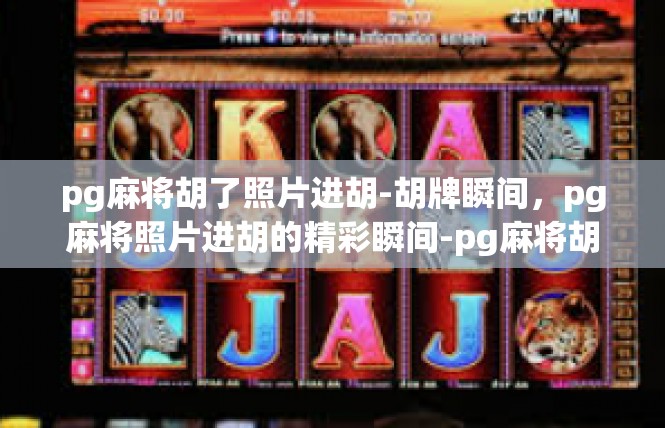 pg麻将胡了照片进胡-胡牌瞬间，pg麻将照片进胡的精彩瞬间-pg麻将胡了照片进胡